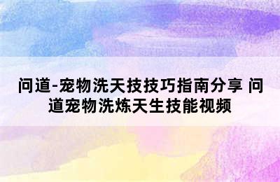 问道-宠物洗天技技巧指南分享 问道宠物洗炼天生技能视频